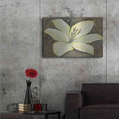 Luxe Metal Art 'Neutral Lily II' by Tim O'Toole, Metal Wall Art,36x24