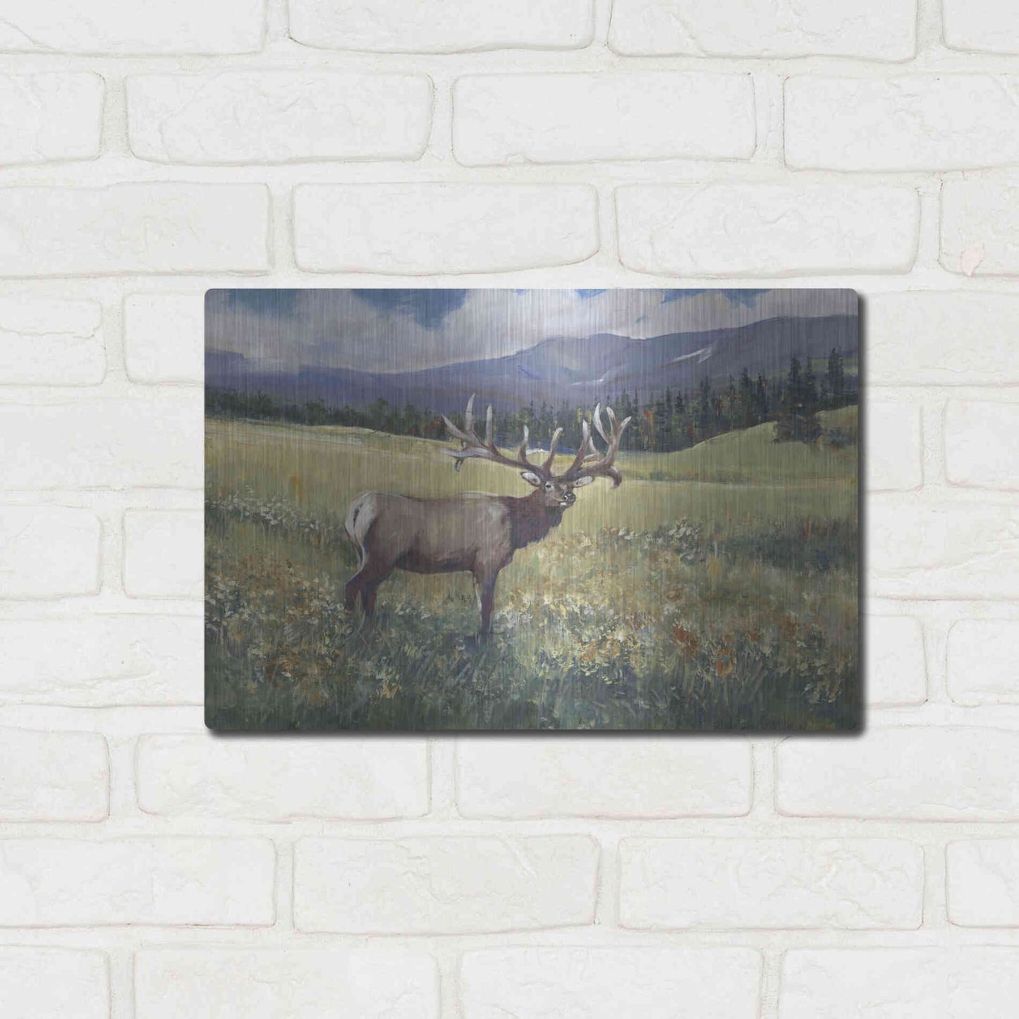 Luxe Metal Art 'Rocky Mountain Elk I' by Tim O'Toole, Metal Wall Art,16x12
