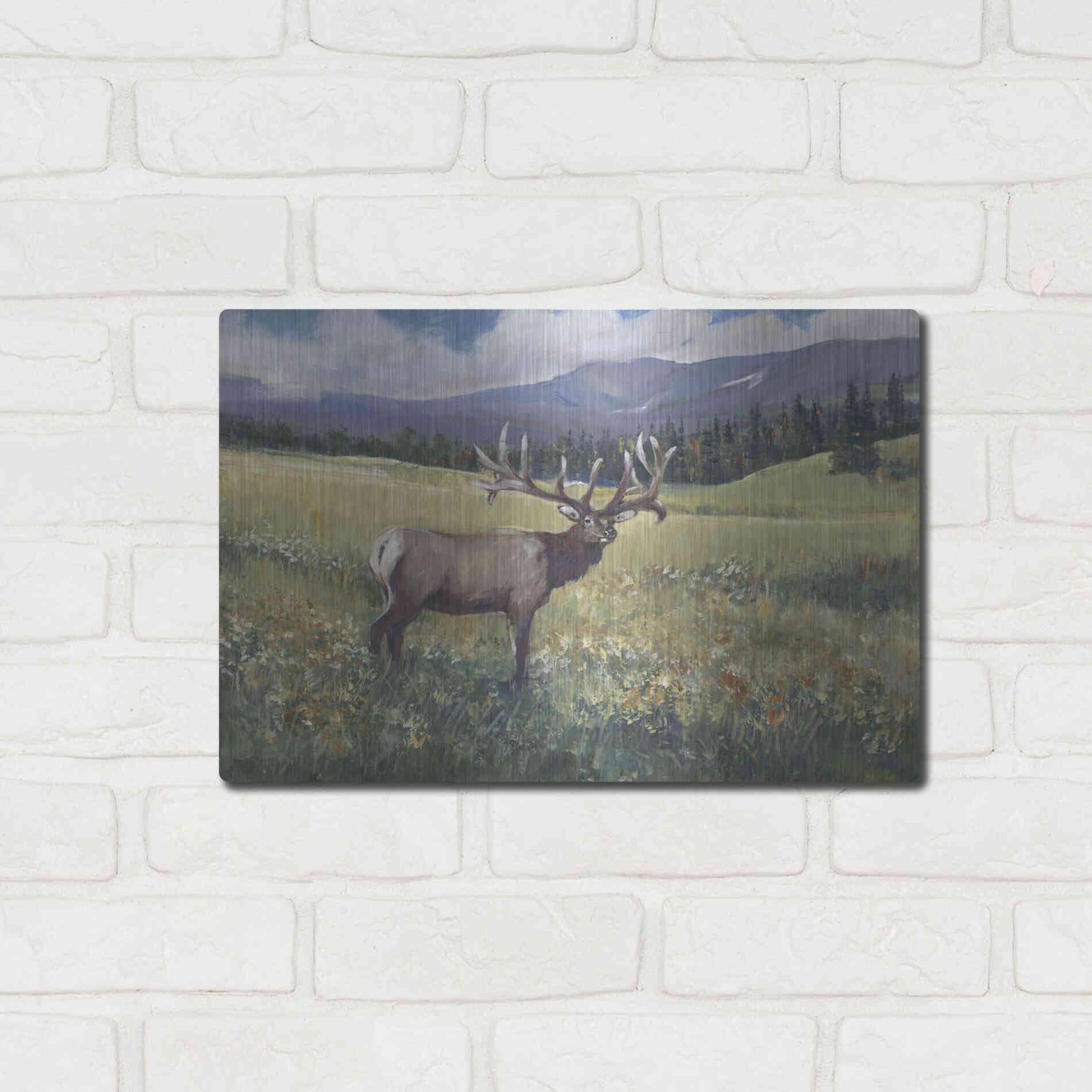 Luxe Metal Art 'Rocky Mountain Elk I' by Tim O'Toole, Metal Wall Art,16x12