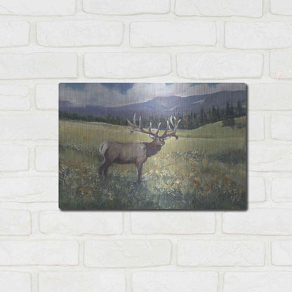 Luxe Metal Art 'Rocky Mountain Elk I' by Tim O'Toole, Metal Wall Art,16x12