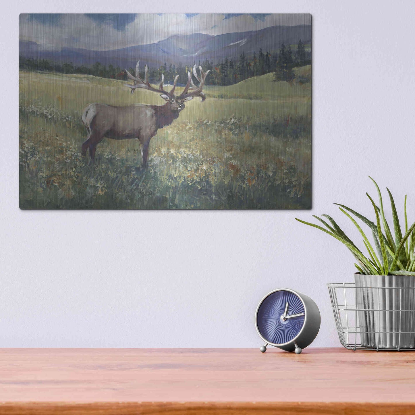 Luxe Metal Art 'Rocky Mountain Elk I' by Tim O'Toole, Metal Wall Art,16x12