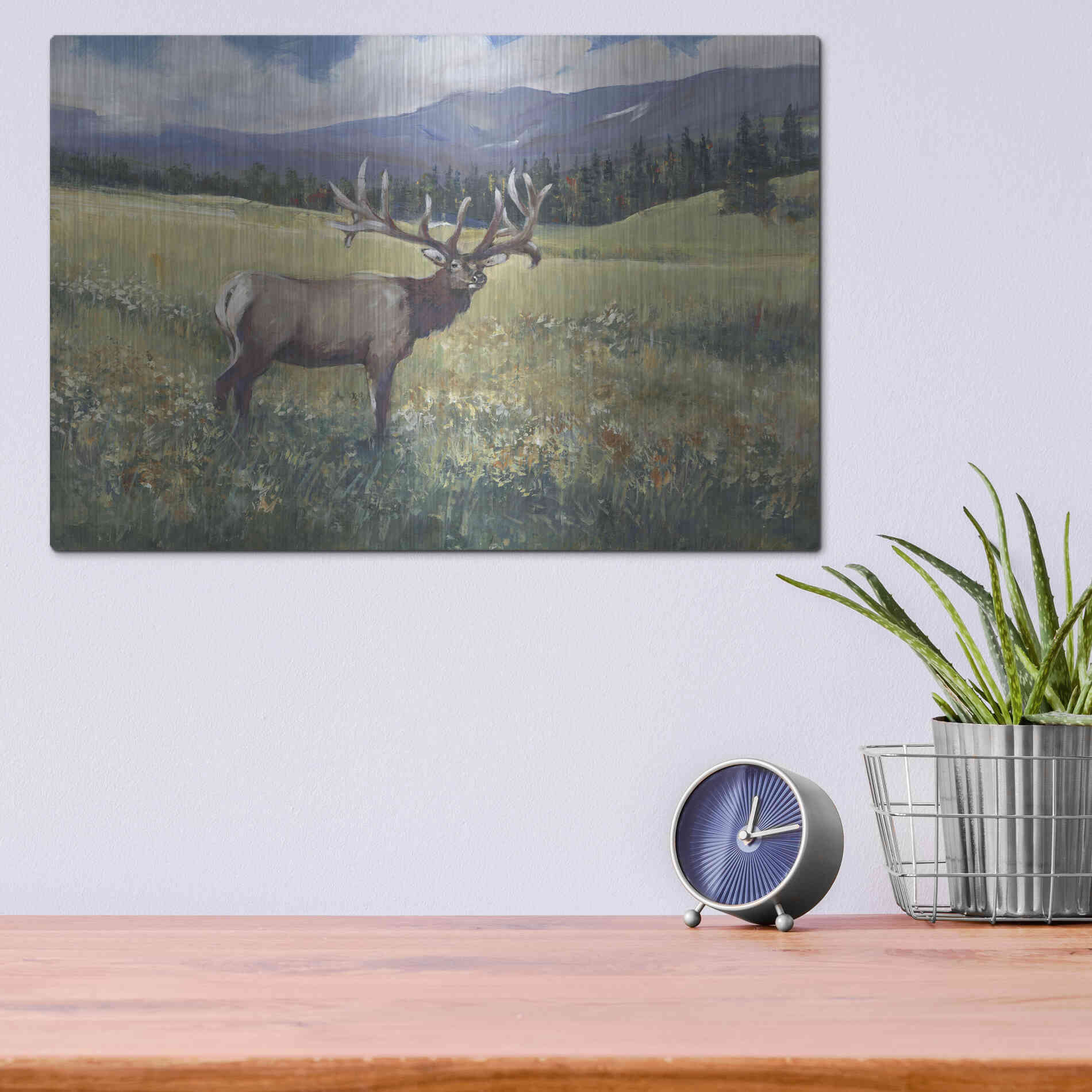 Luxe Metal Art 'Rocky Mountain Elk I' by Tim O'Toole, Metal Wall Art,16x12
