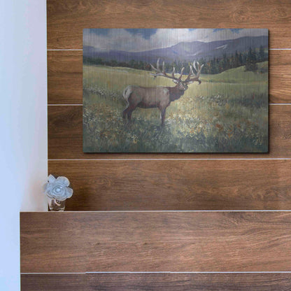 Luxe Metal Art 'Rocky Mountain Elk I' by Tim O'Toole, Metal Wall Art,16x12