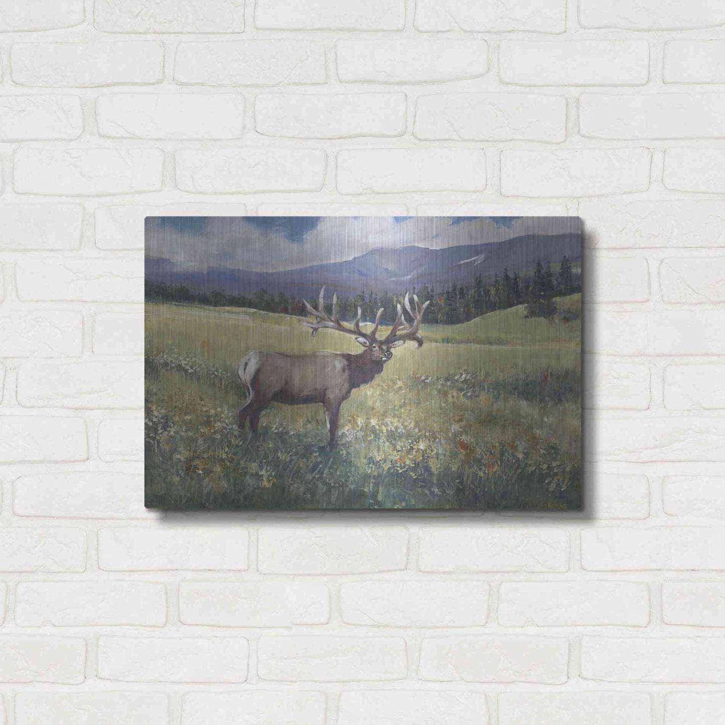 Luxe Metal Art 'Rocky Mountain Elk I' by Tim O'Toole, Metal Wall Art,24x16