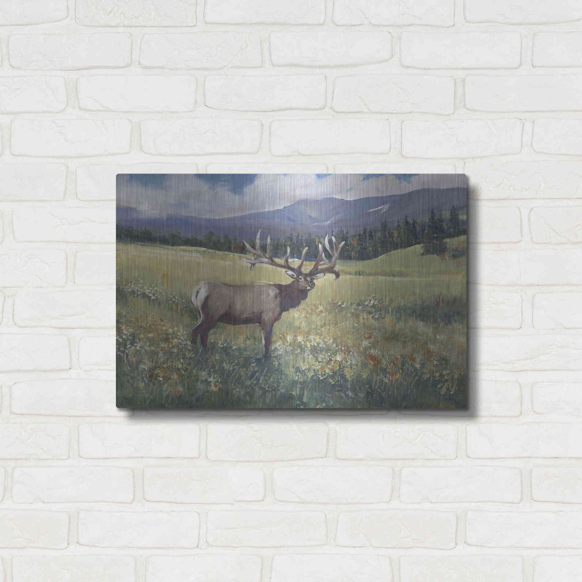 Luxe Metal Art 'Rocky Mountain Elk I' by Tim O'Toole, Metal Wall Art,24x16