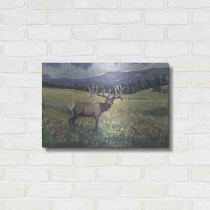 Luxe Metal Art 'Rocky Mountain Elk I' by Tim O'Toole, Metal Wall Art,24x16