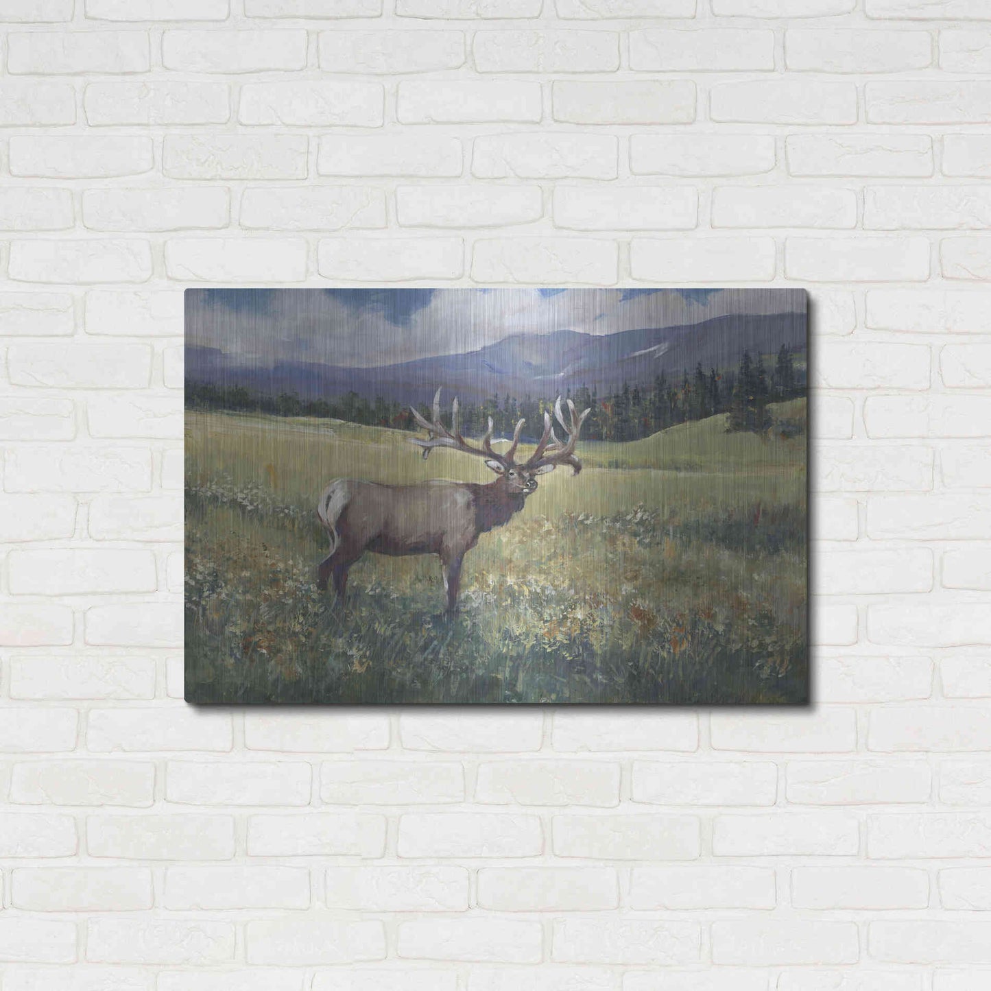 Luxe Metal Art 'Rocky Mountain Elk I' by Tim O'Toole, Metal Wall Art,36x24