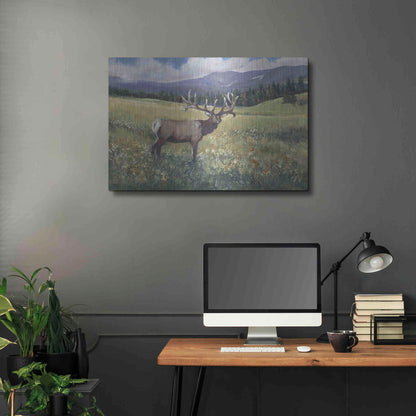 Luxe Metal Art 'Rocky Mountain Elk I' by Tim O'Toole, Metal Wall Art,36x24