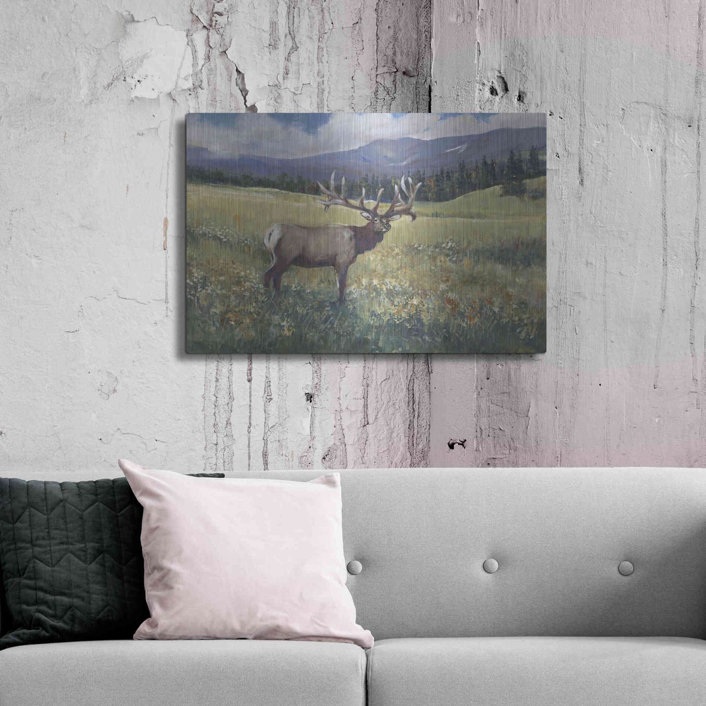 Luxe Metal Art 'Rocky Mountain Elk I' by Tim O'Toole, Metal Wall Art,36x24