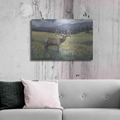 Luxe Metal Art 'Rocky Mountain Elk I' by Tim O'Toole, Metal Wall Art,36x24
