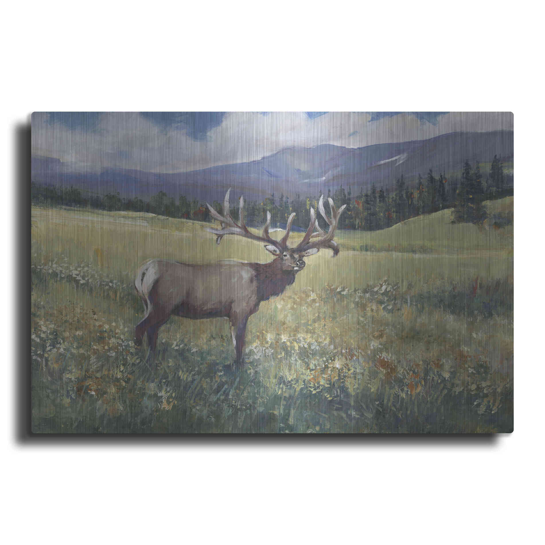 Luxe Metal Art 'Rocky Mountain Elk I' by Tim O'Toole, Metal Wall Art