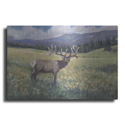 Luxe Metal Art 'Rocky Mountain Elk I' by Tim O'Toole, Metal Wall Art