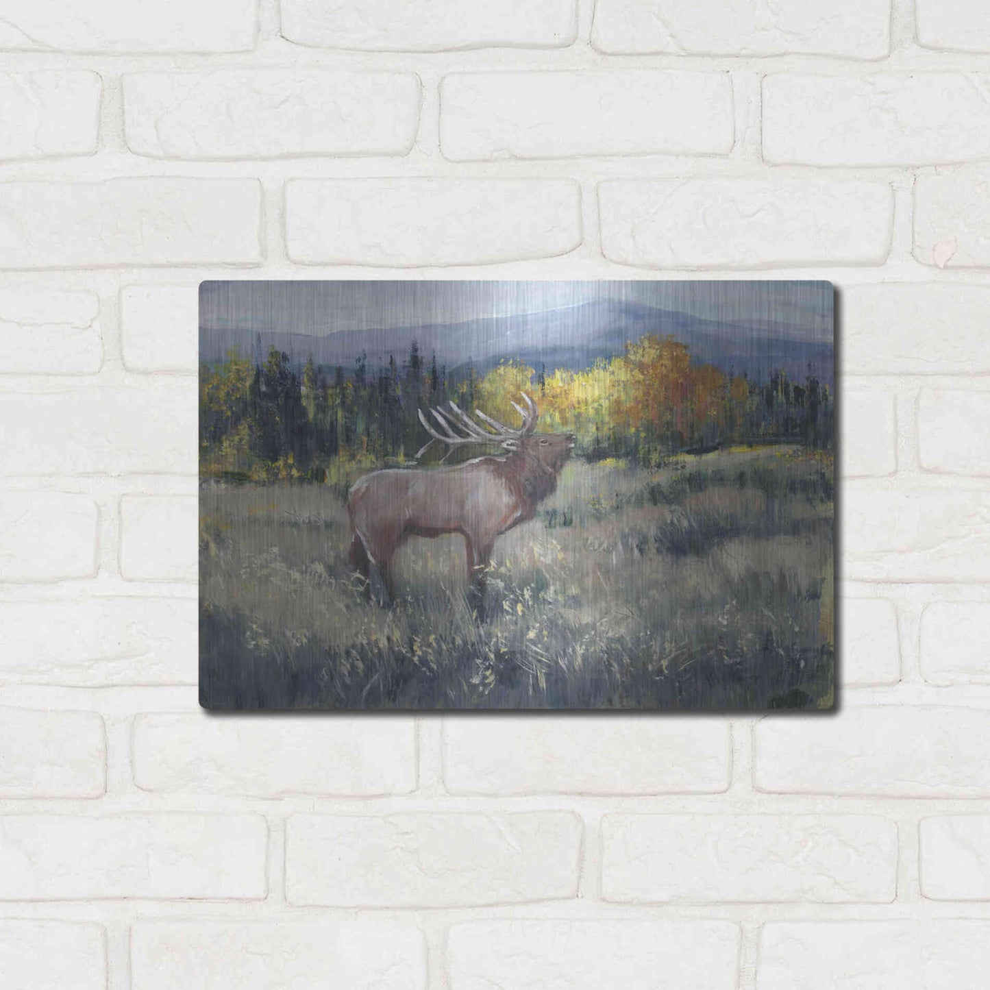 Luxe Metal Art 'Rocky Mountain Elk II' by Tim O'Toole, Metal Wall Art,16x12