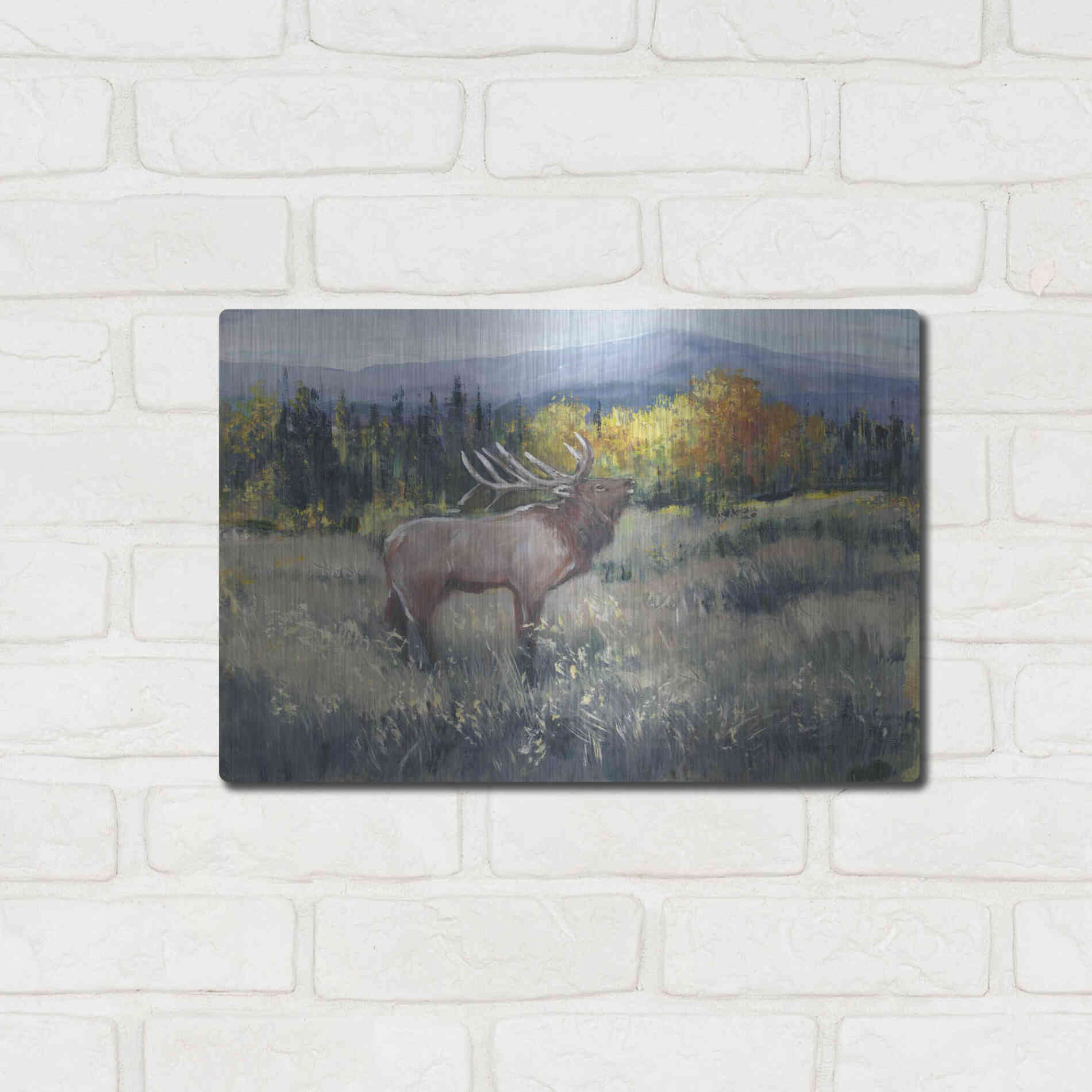 Luxe Metal Art 'Rocky Mountain Elk II' by Tim O'Toole, Metal Wall Art,16x12