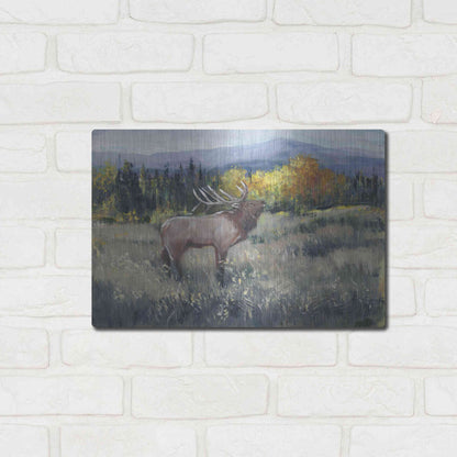 Luxe Metal Art 'Rocky Mountain Elk II' by Tim O'Toole, Metal Wall Art,16x12