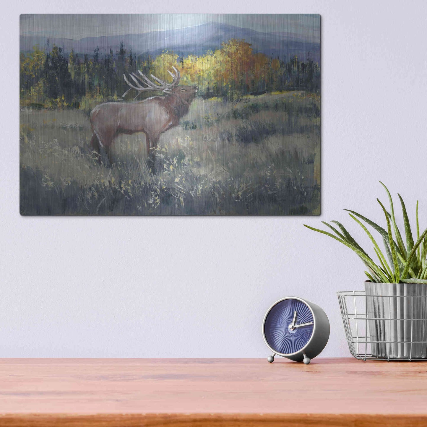 Luxe Metal Art 'Rocky Mountain Elk II' by Tim O'Toole, Metal Wall Art,16x12