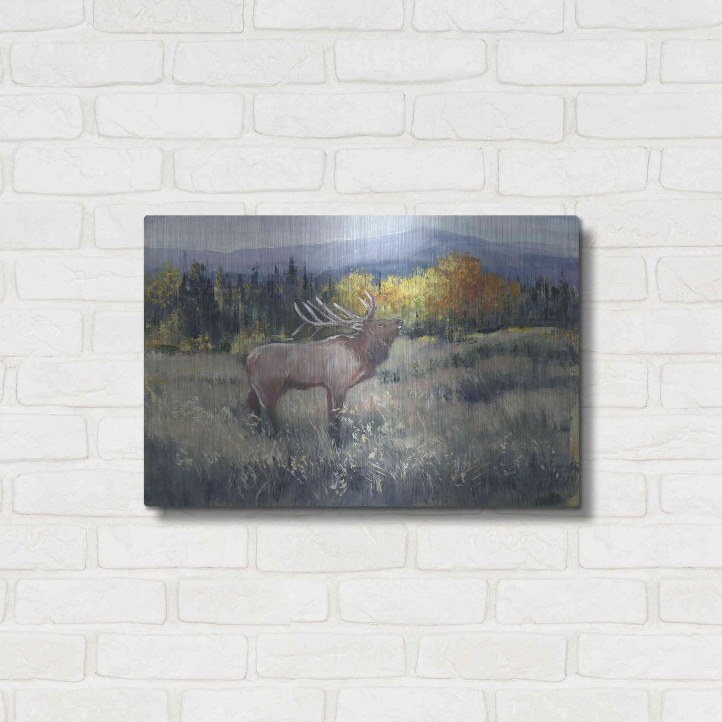Luxe Metal Art 'Rocky Mountain Elk II' by Tim O'Toole, Metal Wall Art,24x16