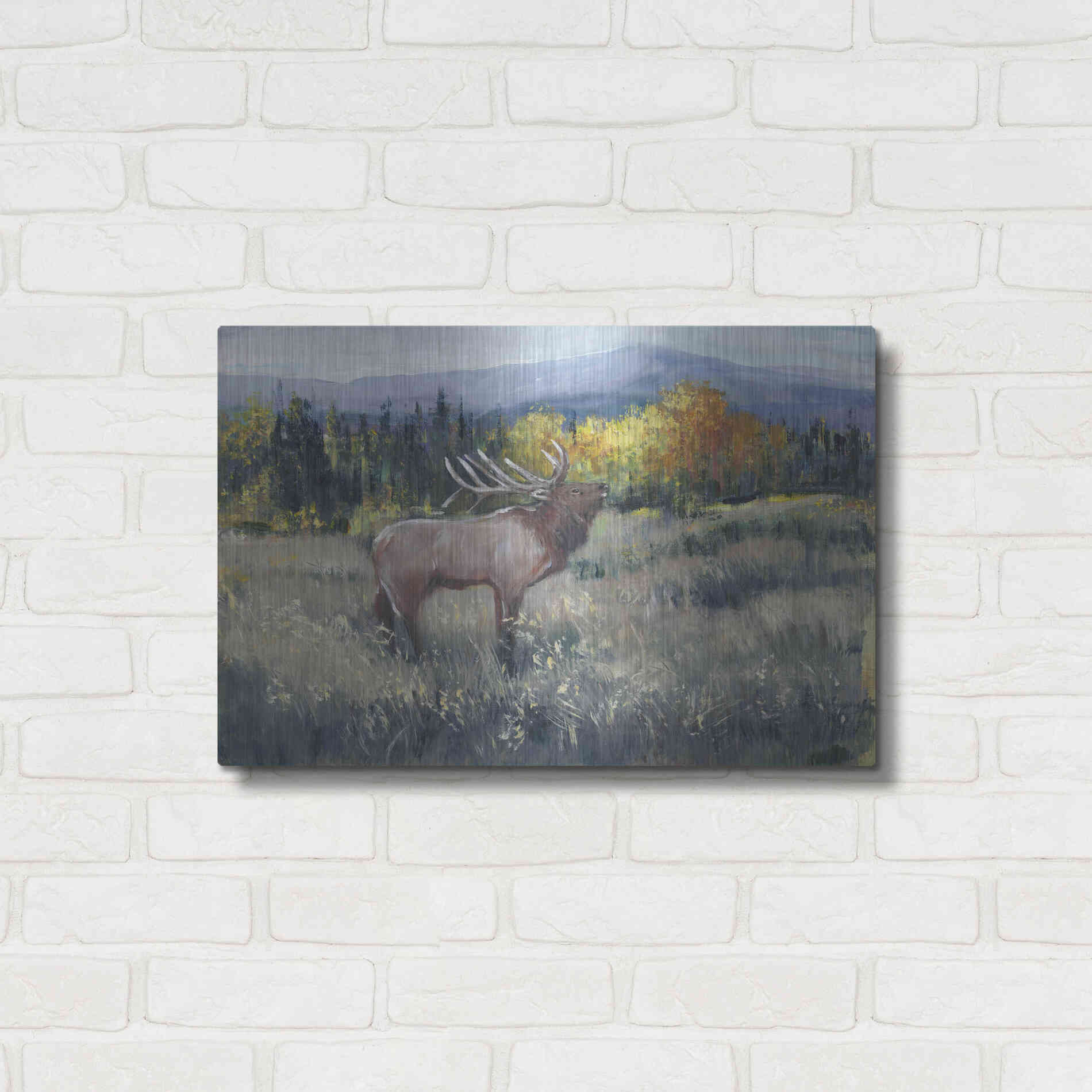 Luxe Metal Art 'Rocky Mountain Elk II' by Tim O'Toole, Metal Wall Art,24x16