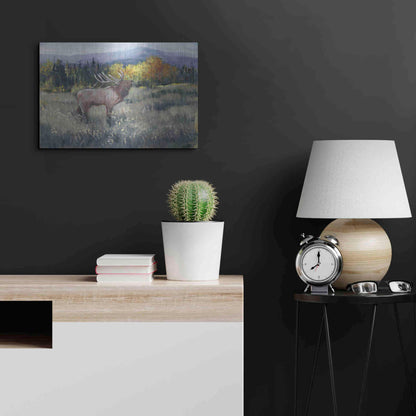 Luxe Metal Art 'Rocky Mountain Elk II' by Tim O'Toole, Metal Wall Art,24x16