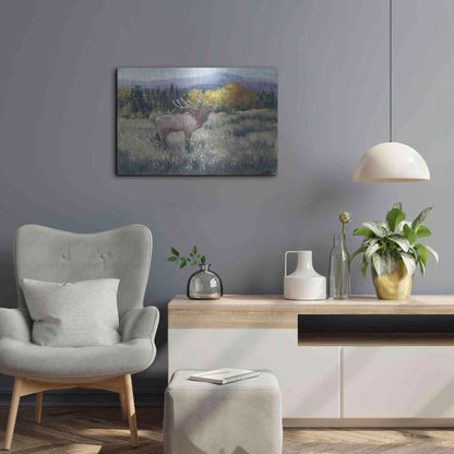 Luxe Metal Art 'Rocky Mountain Elk II' by Tim O'Toole, Metal Wall Art,24x16
