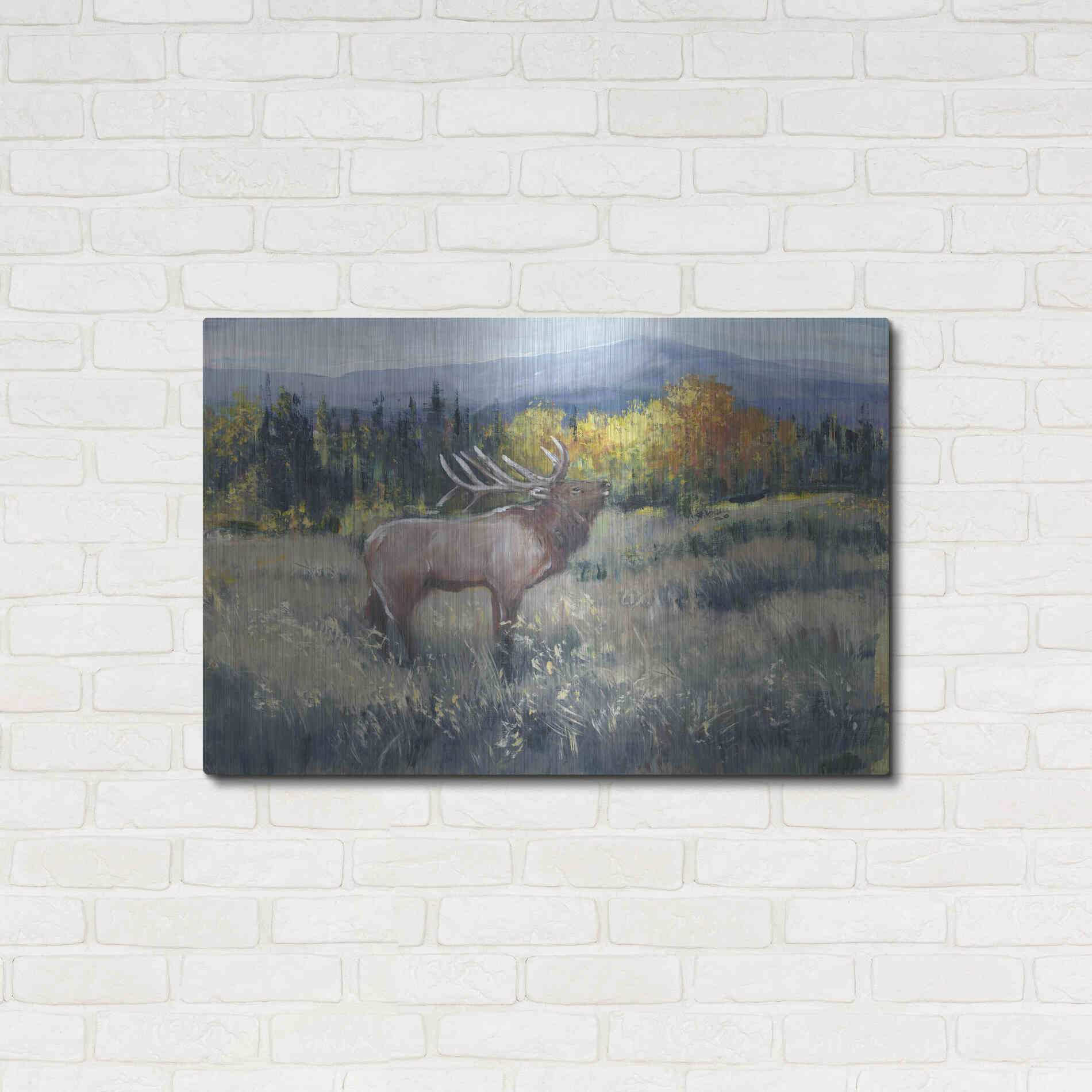 Luxe Metal Art 'Rocky Mountain Elk II' by Tim O'Toole, Metal Wall Art,36x24