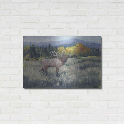 Luxe Metal Art 'Rocky Mountain Elk II' by Tim O'Toole, Metal Wall Art,36x24
