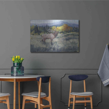 Luxe Metal Art 'Rocky Mountain Elk II' by Tim O'Toole, Metal Wall Art,36x24