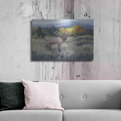Luxe Metal Art 'Rocky Mountain Elk II' by Tim O'Toole, Metal Wall Art,36x24