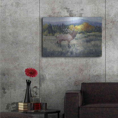 Luxe Metal Art 'Rocky Mountain Elk II' by Tim O'Toole, Metal Wall Art,36x24