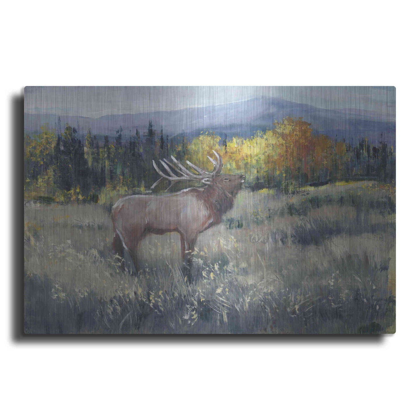 Luxe Metal Art 'Rocky Mountain Elk II' by Tim O'Toole, Metal Wall Art