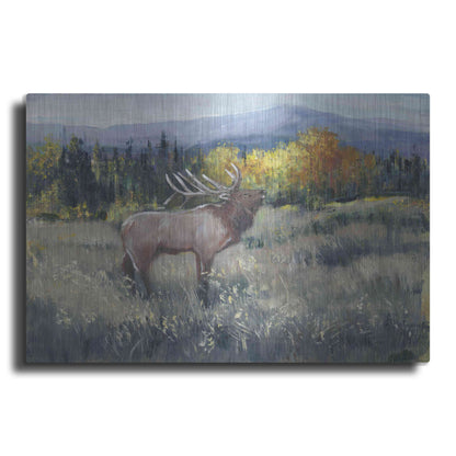 Luxe Metal Art 'Rocky Mountain Elk II' by Tim O'Toole, Metal Wall Art