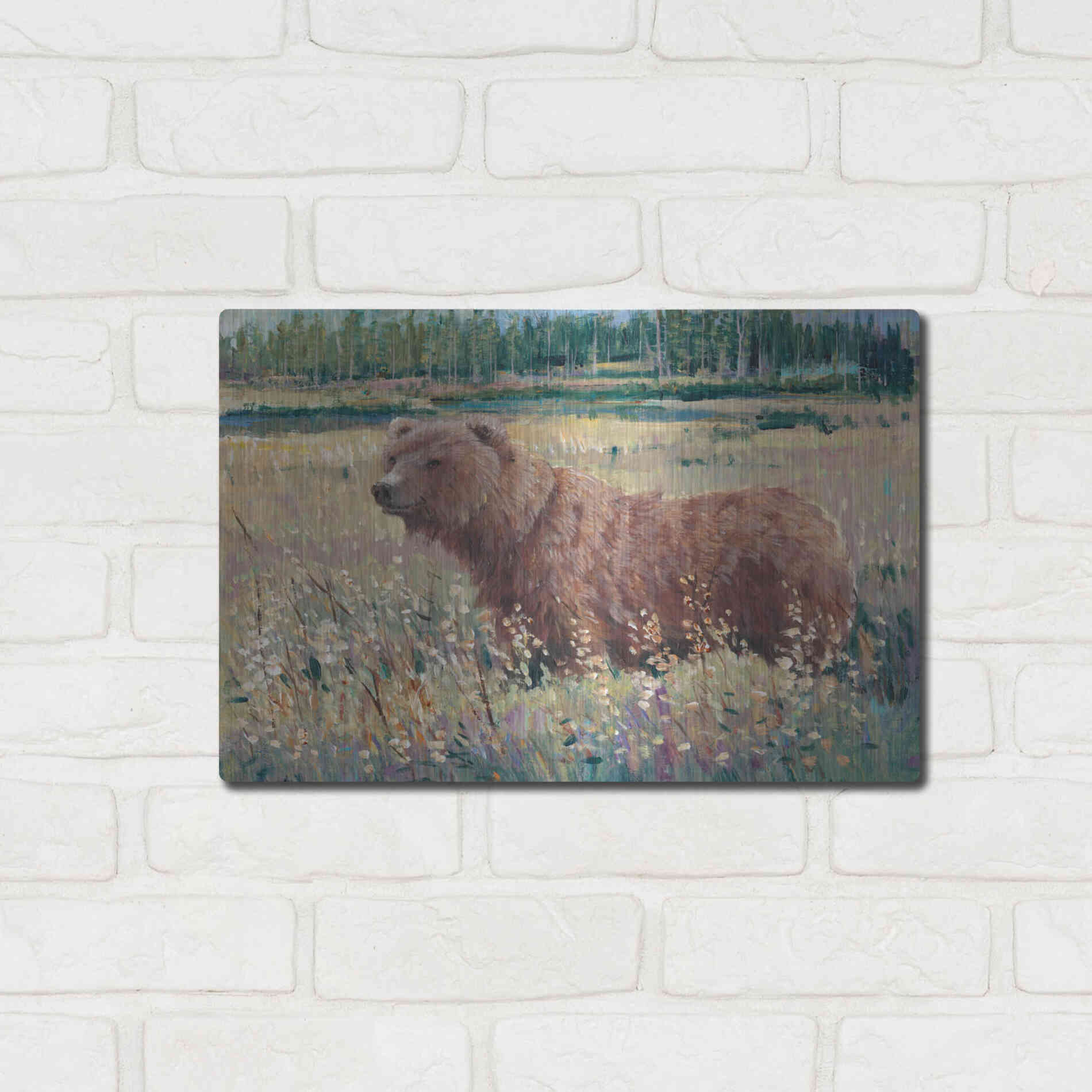 Luxe Metal Art 'Bear in the Field' by Tim O'Toole, Metal Wall Art,16x12
