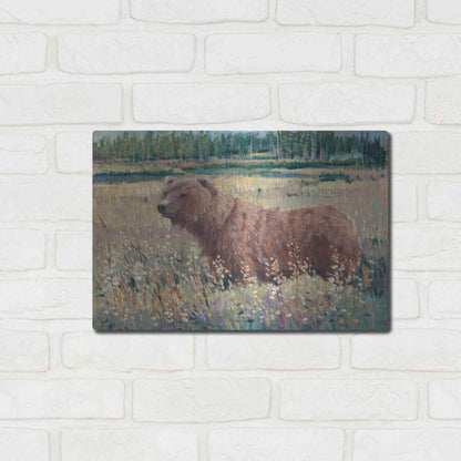 Luxe Metal Art 'Bear in the Field' by Tim O'Toole, Metal Wall Art,16x12
