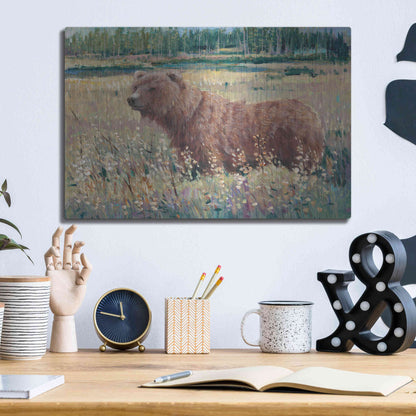 Luxe Metal Art 'Bear in the Field' by Tim O'Toole, Metal Wall Art,16x12
