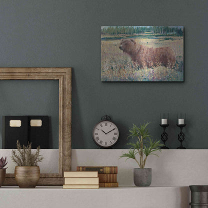 Luxe Metal Art 'Bear in the Field' by Tim O'Toole, Metal Wall Art,16x12
