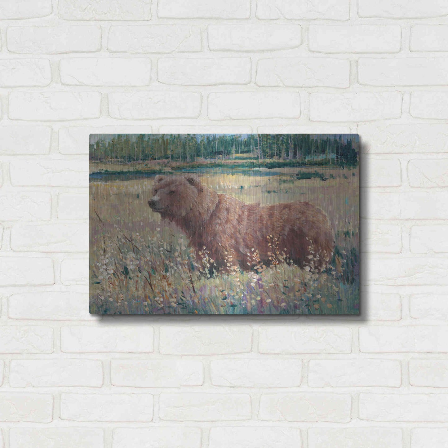 Luxe Metal Art 'Bear in the Field' by Tim O'Toole, Metal Wall Art,24x16