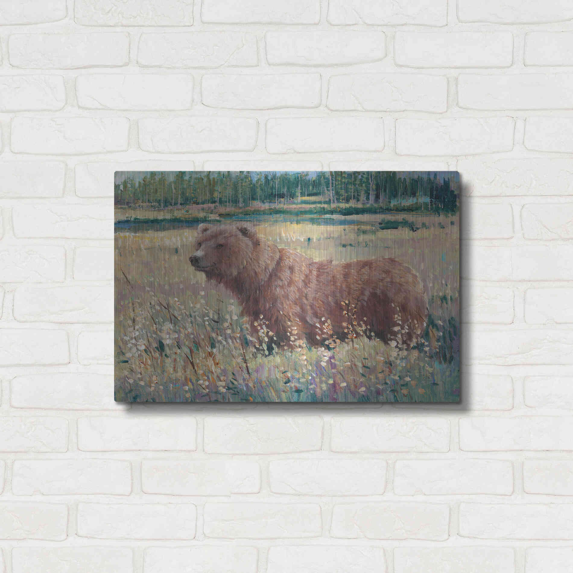 Luxe Metal Art 'Bear in the Field' by Tim O'Toole, Metal Wall Art,24x16