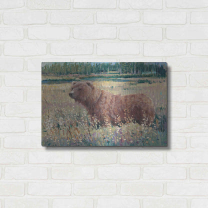 Luxe Metal Art 'Bear in the Field' by Tim O'Toole, Metal Wall Art,24x16
