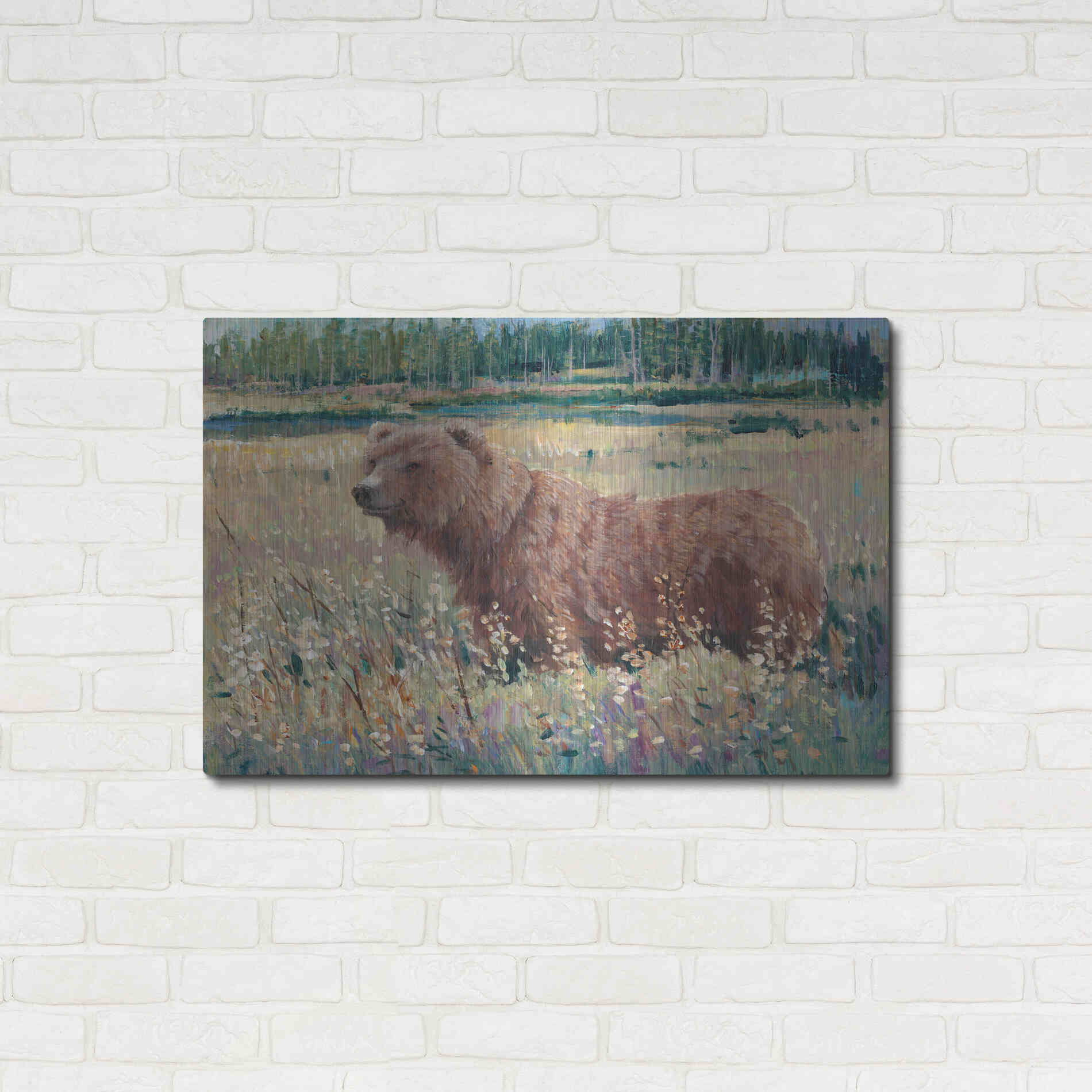 Luxe Metal Art 'Bear in the Field' by Tim O'Toole, Metal Wall Art,36x24