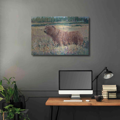 Luxe Metal Art 'Bear in the Field' by Tim O'Toole, Metal Wall Art,36x24