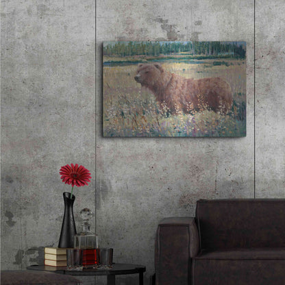 Luxe Metal Art 'Bear in the Field' by Tim O'Toole, Metal Wall Art,36x24