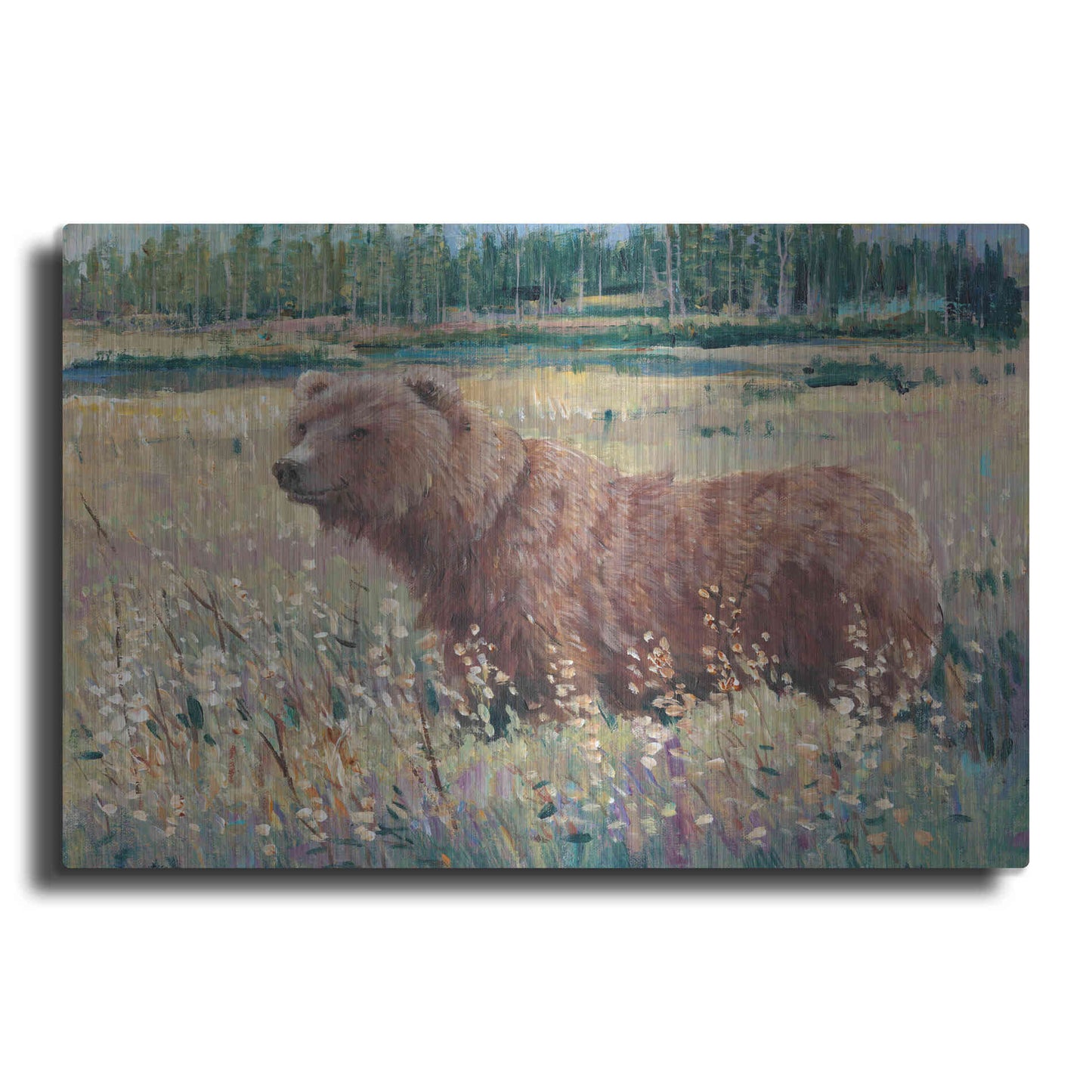 Luxe Metal Art 'Bear in the Field' by Tim O'Toole, Metal Wall Art