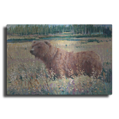 Luxe Metal Art 'Bear in the Field' by Tim O'Toole, Metal Wall Art