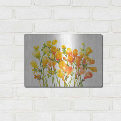 Luxe Metal Art 'Freesia I' by Tim O'Toole, Metal Wall Art,16x12