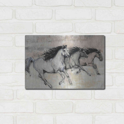 Luxe Metal Art 'Horses in Motion II' by Tim O'Toole, Metal Wall Art,16x12