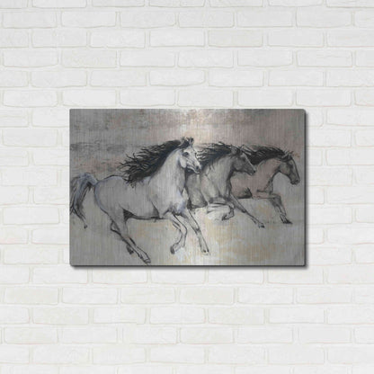 Luxe Metal Art 'Horses in Motion II' by Tim O'Toole, Metal Wall Art,36x24