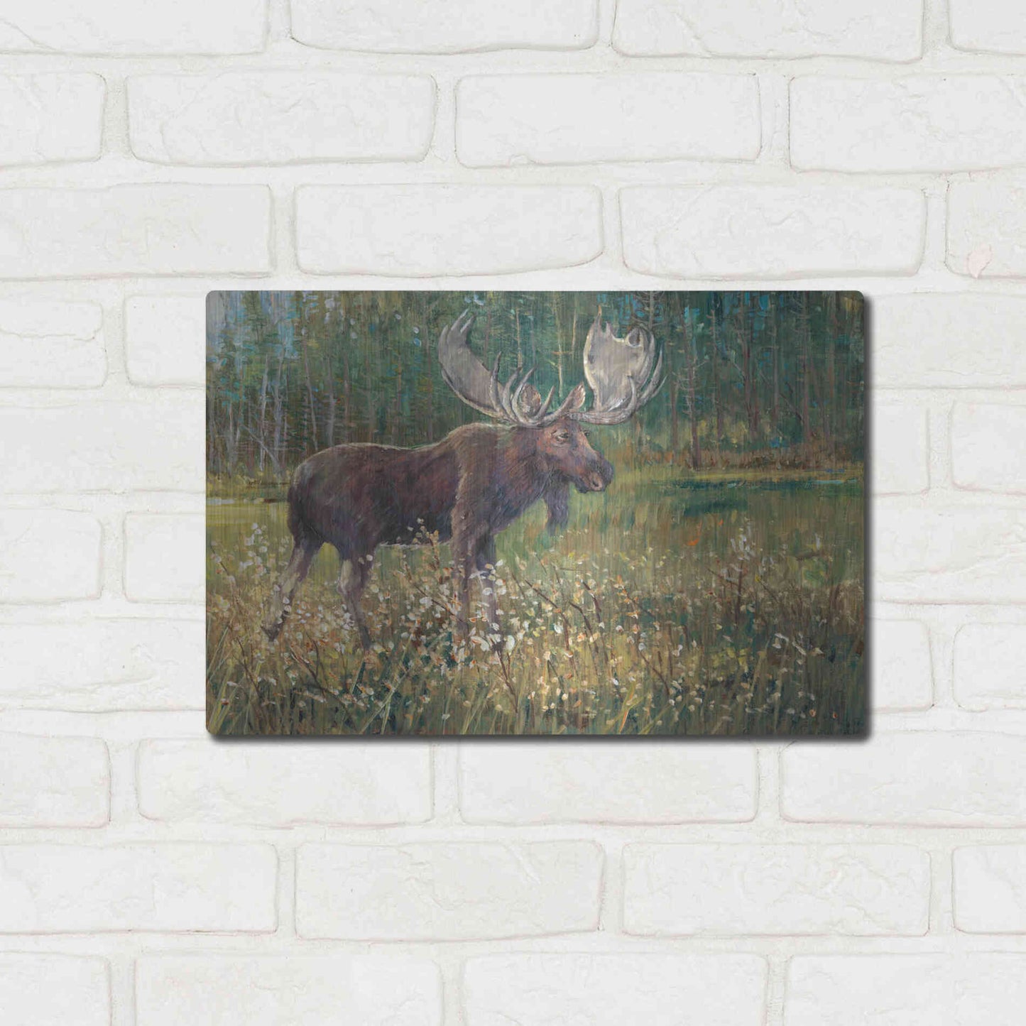 Luxe Metal Art 'Moose in the Field' by Tim O'Toole, Metal Wall Art,16x12