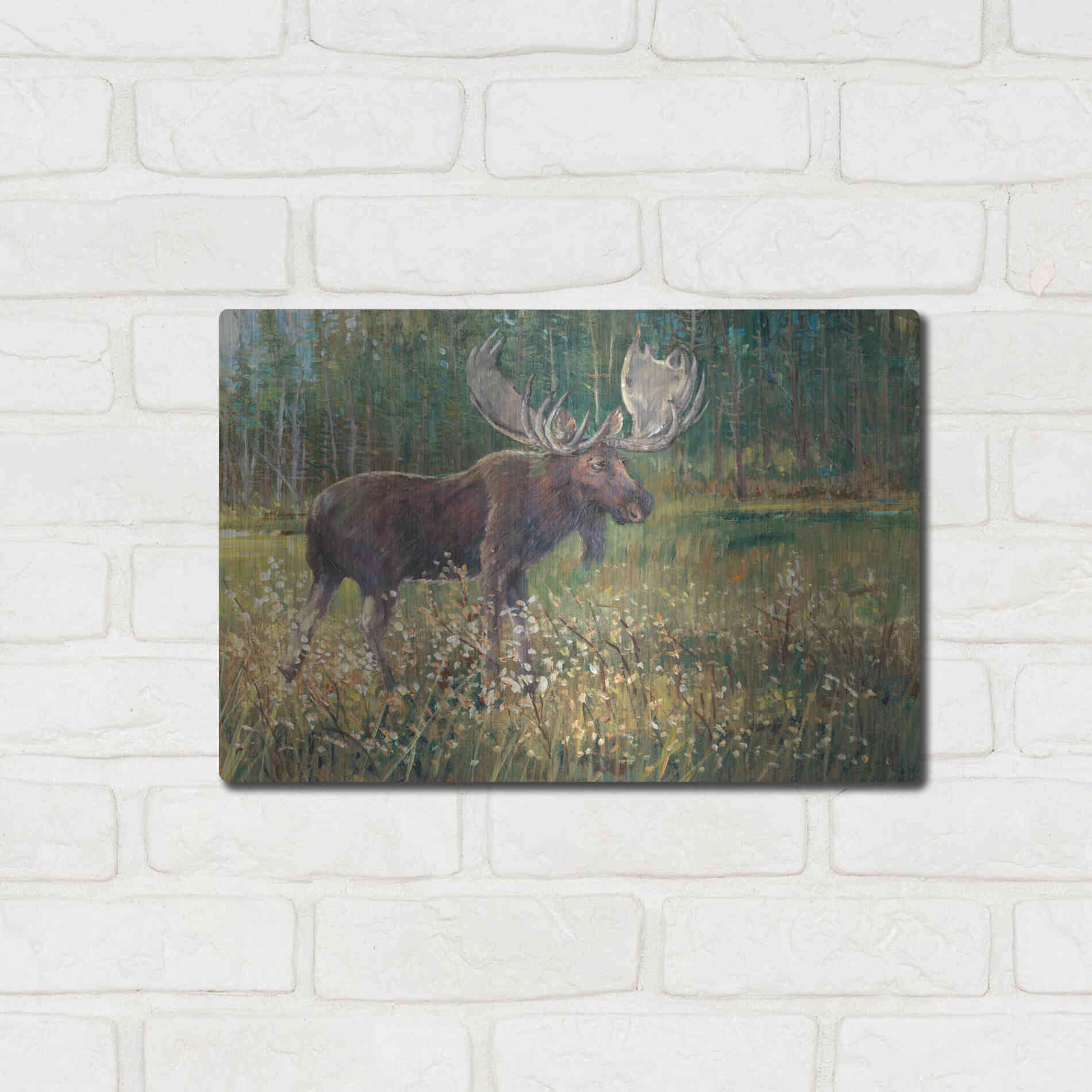 Luxe Metal Art 'Moose in the Field' by Tim O'Toole, Metal Wall Art,16x12