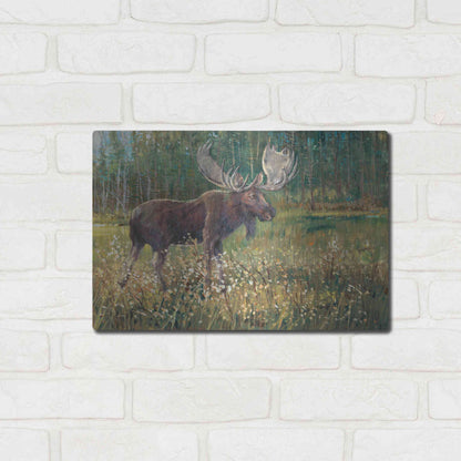 Luxe Metal Art 'Moose in the Field' by Tim O'Toole, Metal Wall Art,16x12
