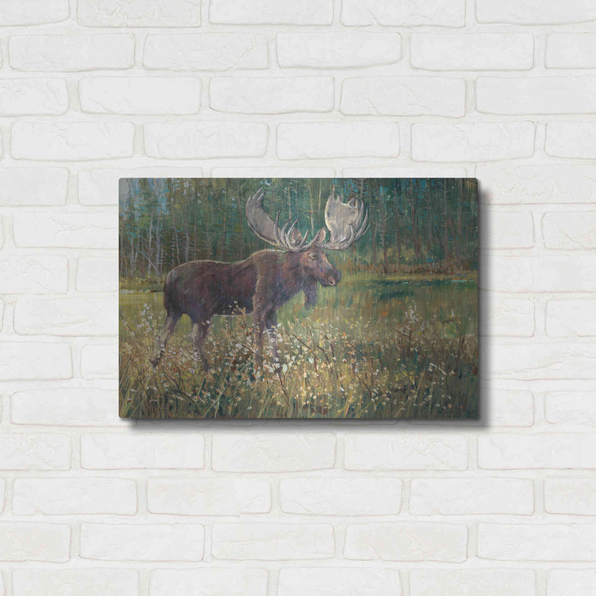 Luxe Metal Art 'Moose in the Field' by Tim O'Toole, Metal Wall Art,24x16